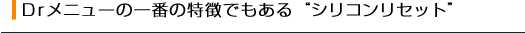 Drメニューの一番の特徴でもある“シリコンセット”