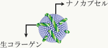 フェース生コラーゲン：イメージ画像